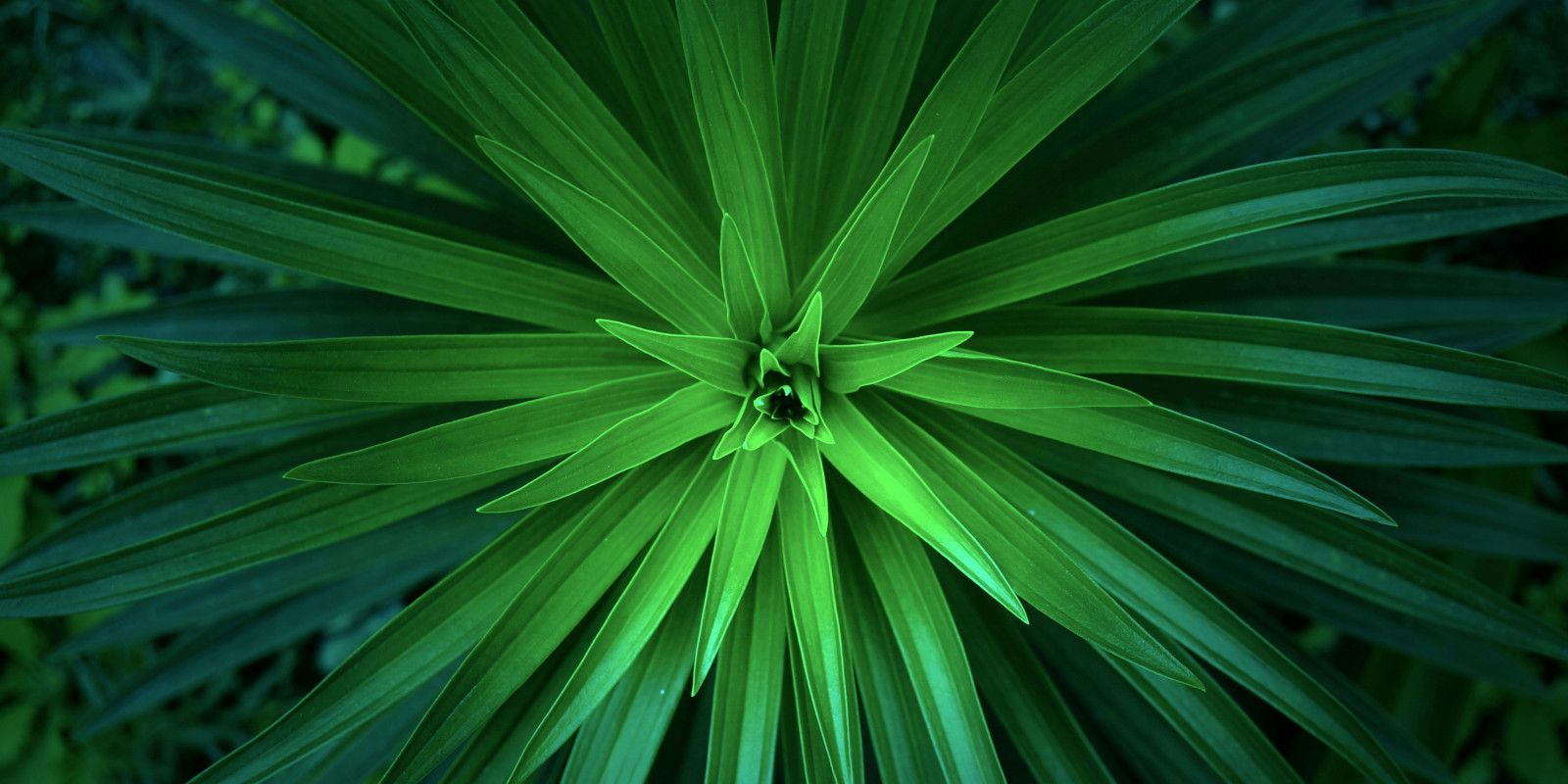 Header: symmetry