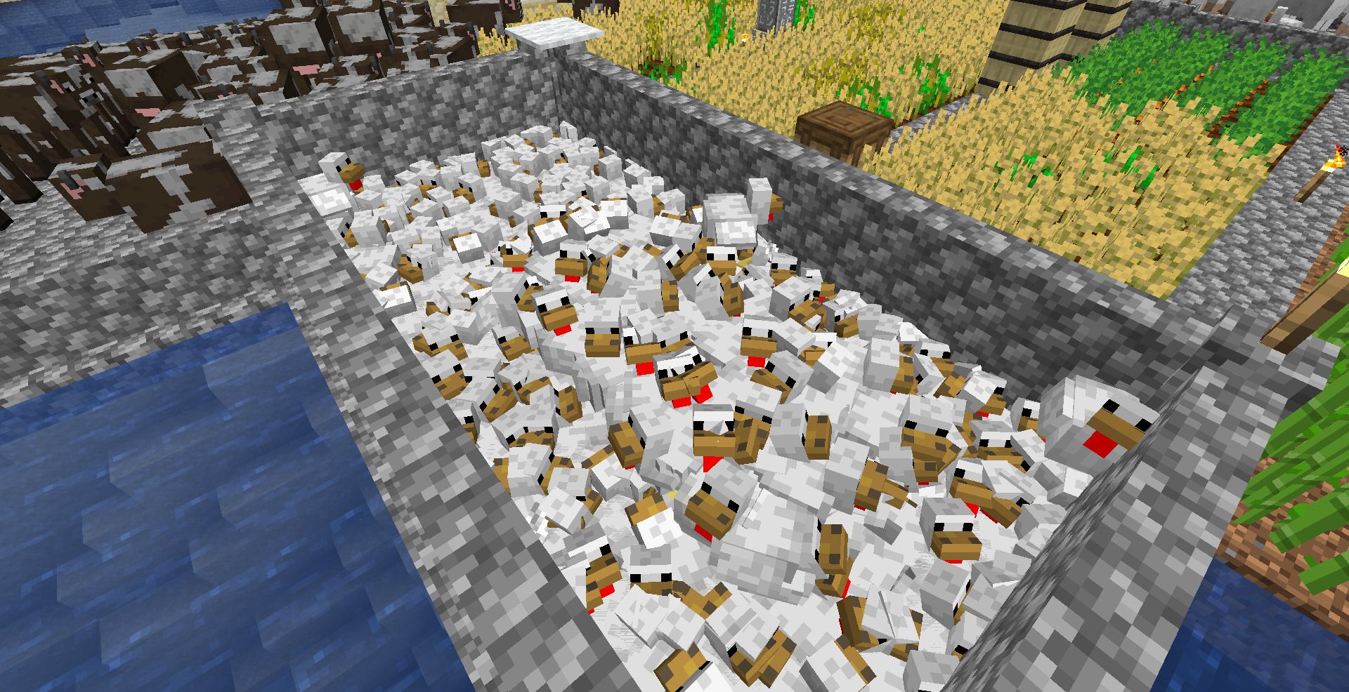 Simple chicken farm