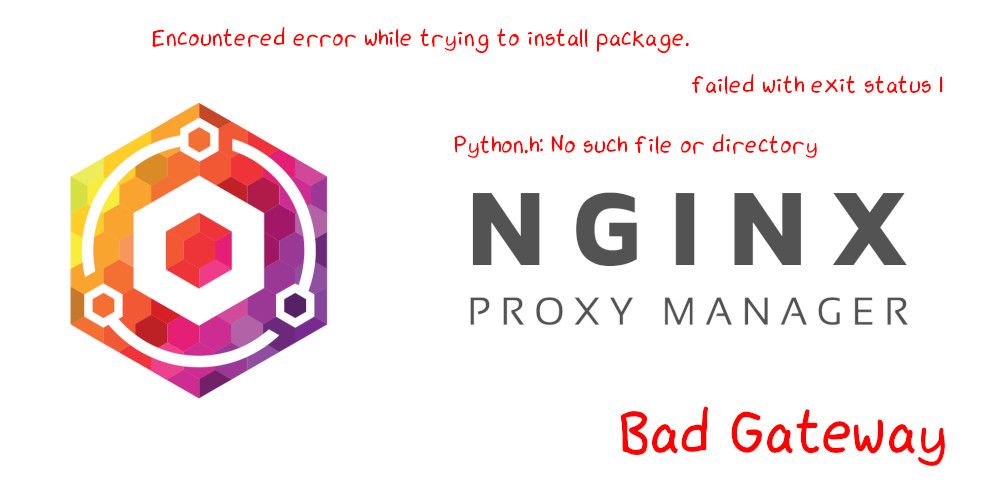 Header: Nginx Proxy Manager, in light theme